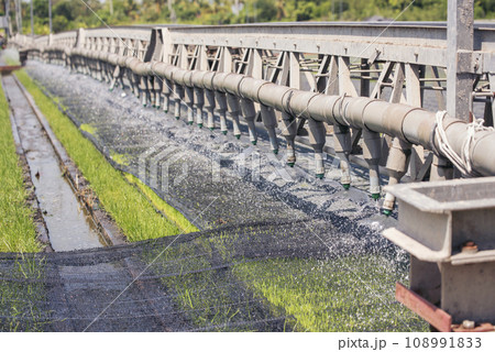 Green farm sprinkler automatic Watering machine Rice Field Green agriculture ecosystem Asian rice paddy field Thailand green farm. Harvest agriculture planting cultivation green rice terraces garden Green farm sprinkler automatic Watering machine Rice Field Green agriculture ecosystem Asian rice paddy field Thailand green farm. Harvest agriculture planting cultivation green rice terraces garden 108991833