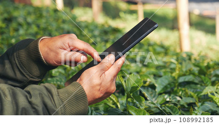 Smart farmer holding smartphone in eco green farm sustainable quality control. Close up Hand control planting tree. Farmer hands cultivated fresh garden in eco biotechnology. Farmland technology 108992185