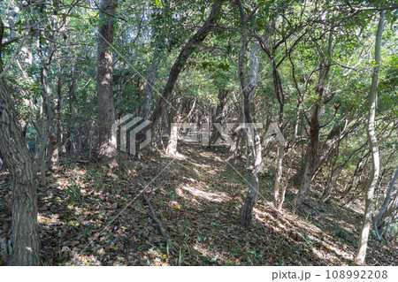 経ヶ森の登山道(愛媛県松山市) 経ヶ森の登山道(愛媛県松山市) 108992208