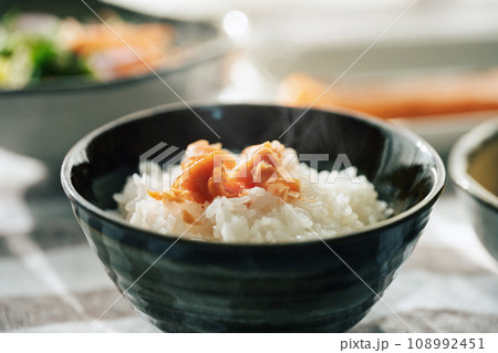 鮭とご飯 鮭とご飯 108992451
