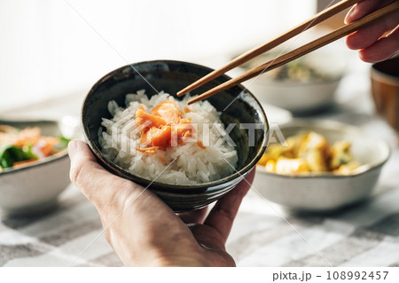 鮭とご飯 108992457