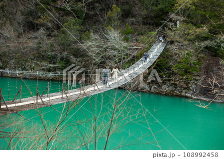 エメラルドの吊り橋 108992458