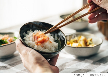 鮭とご飯 108992459