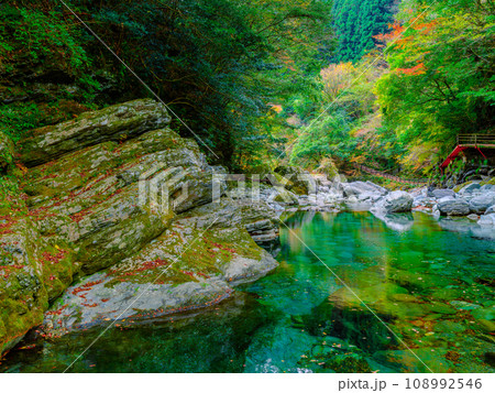 紅葉した秋の川の渓流　高知県　安居渓谷 108992546