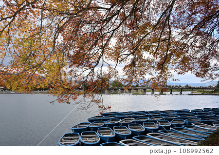 保津川のボートと紅葉 保津川のボートと紅葉 108992562