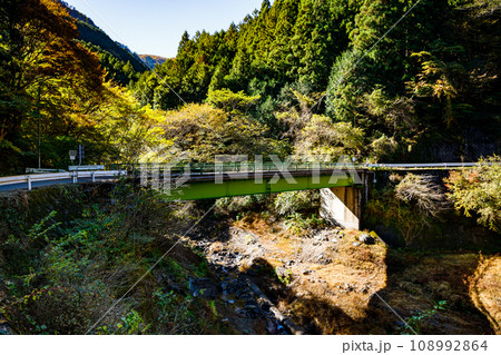 埼玉県飯能市　秋の名栗湖（有馬ダム）白谷橋 108992864