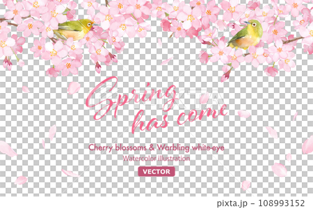 Spring flowers: watercolor illustration of cherry blossoms and white-eye. frame decoration. (Vector. Layout can be changed) 108993152