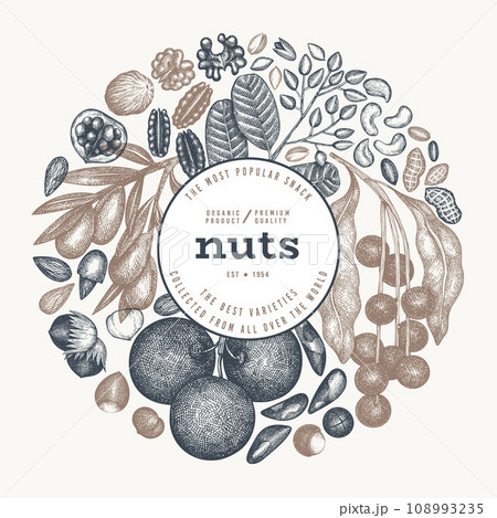 Hand Drawn Nuts Branch And Kernels Template. Organic Seed Vector Design. Retro Nut Illustration. Engraved Style Botanical Banner. Hand Drawn Nuts Branch And Kernels Template. Organic Seed Vector Design. Retro Nut Illustration. Engraved Style Botanical Banner. 108993235