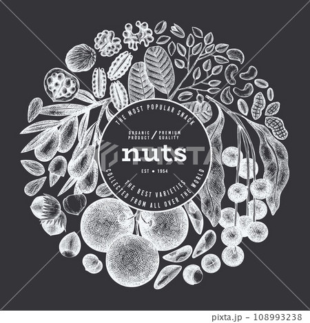Hand Drawn Nuts Branch And Kernels Template. Organic Seed Vector Design. Retro Chalk Board Nut Illustration. Hand Drawn Nuts Branch And Kernels Template. Organic Seed Vector Design. Retro Chalk Board Nut Illustration. 108993238