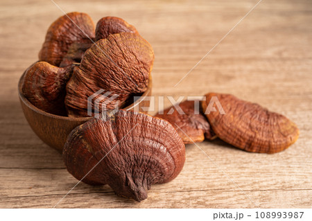 Dried lingzhi mushroom with capsule drug, alternative medicine herbal organic herb. Dried lingzhi mushroom with capsule drug, alternative medicine herbal organic herb. 108993987