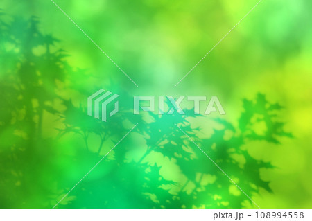 柊の葉っぱシルエット、緑に輝くクリスマスの背景 108994558