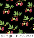 Ripe gooseberries seamless pattern. Summer berry background with berries. vector illustration, hand-drawing 108994683