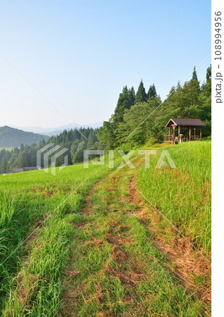 北五百川の棚田(新潟県) 北五百川の棚田(新潟県) 108994956