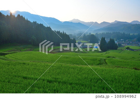 北五百川の棚田(新潟県) 北五百川の棚田(新潟県) 108994962