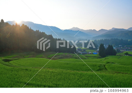 北五百川の棚田(新潟県) 北五百川の棚田(新潟県) 108994963