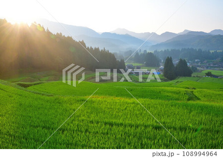 北五百川の棚田（新潟県） 108994964