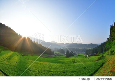 北五百川の棚田(新潟県) 北五百川の棚田(新潟県) 108994966