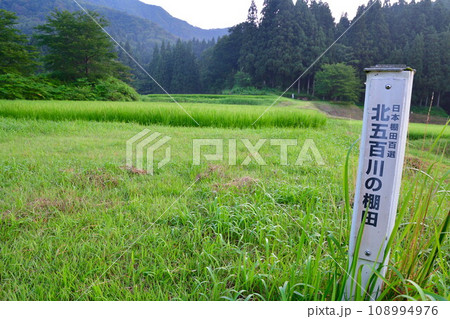 北五百川の棚田(新潟県) 北五百川の棚田(新潟県) 108994976
