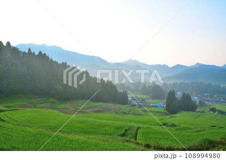 北五百川の棚田(新潟県) 北五百川の棚田(新潟県) 108994980