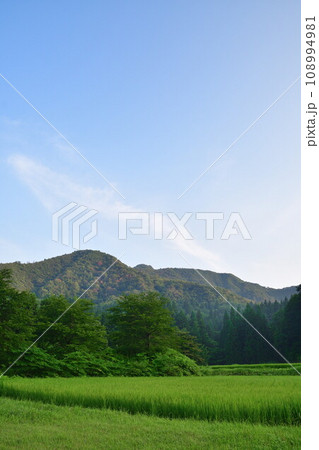 北五百川の棚田(新潟県) 北五百川の棚田(新潟県) 108994981