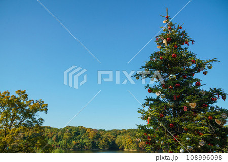 クリスマスツリー、宮沢湖 クリスマスツリー、宮沢湖 108996098