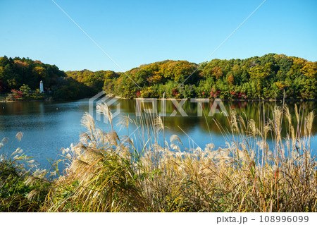 秋の宮沢湖 秋の宮沢湖 108996099