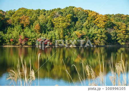 秋の宮沢湖 108996105