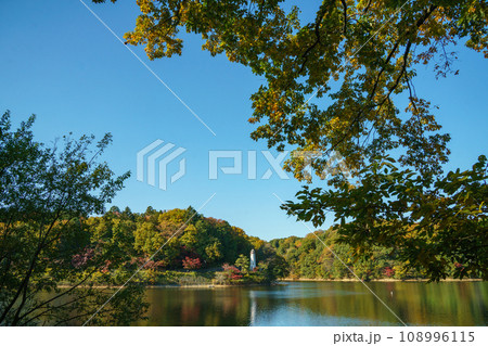 秋の宮沢湖 秋の宮沢湖 108996115