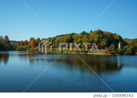 秋の宮沢湖 108996161