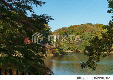 秋の宮沢湖 秋の宮沢湖 108996162