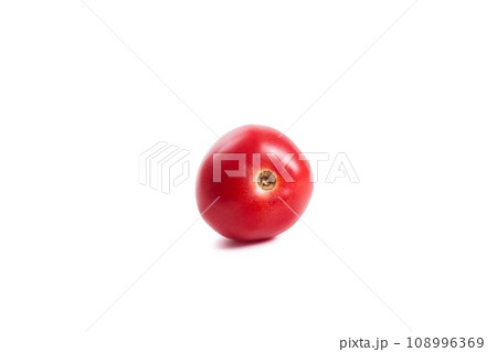 Pink tomato isolated on white background. Pink tomato isolated on white background. 108996369