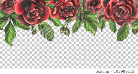 Red-black rose flowers with green leaves and buds, chic, bright, beautiful. Hand drawn watercolor illustration. Seamless border a white background, for decoration and design 108999112
