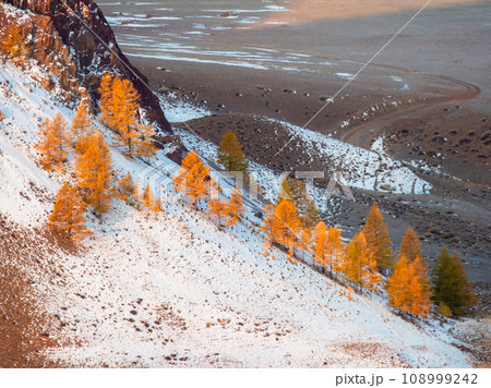 Scenic motley autumn landscape with yellow larch trees on sunlit snow hill and snow mountain range under blue sky. Vivid autumn colors in mountains. Sunlight and shadows of clouds in good weather. 108999242