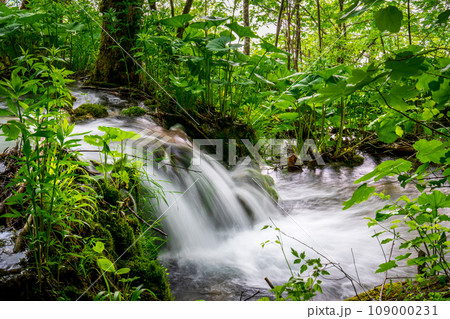 Discover the Magnificent Waterfalls in Krka National Park, Croatia - Nature's Splendor 109000231