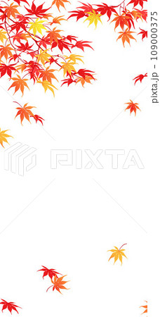 japanese red maple vertical composition 109000375