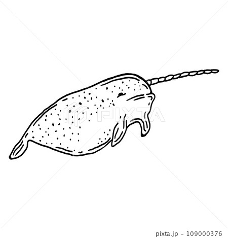 Hand drawn illustration of Narwhal 109000376