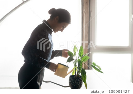 Homeowner woman growing home plant, watering tree from metal can Homeowner woman growing home plant, watering tree from metal can 109001427