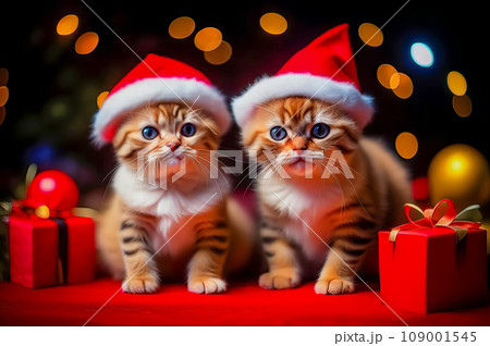 Beautiful cute kittens with Christmas gifts in a festive interior 109001545