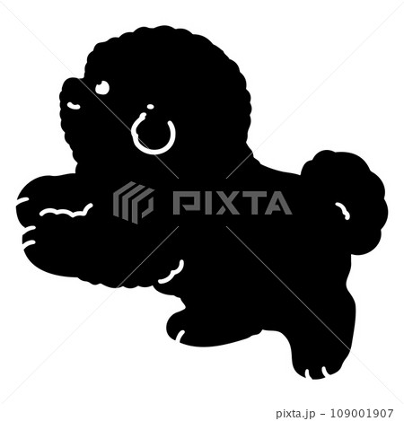 走るビション・フリーゼの子犬のシルエット　横向き　顔付き 109001907