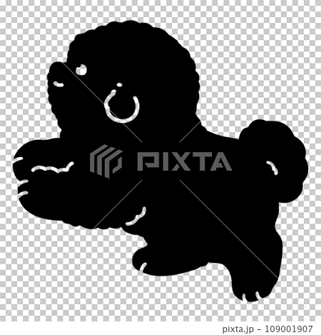 走るビション・フリーゼの子犬のシルエット　横向き　顔付き 109001907