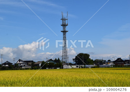 通信設備 基地局 無線局 109004276