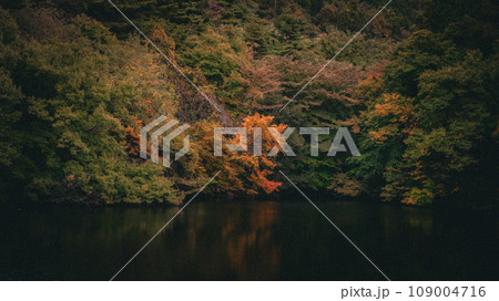 日本の秋の綺麗な山々 109004716