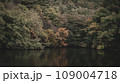日本の秋の綺麗な山々 109004718