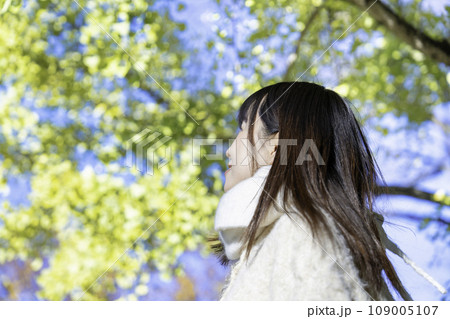 秋冬の公園を散策する若い女性 秋冬の公園を散策する若い女性 109005107