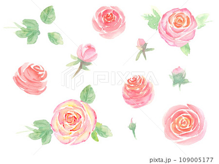 Watercolor hand pink rose flower and leaves set Watercolor hand pink rose flower and leaves set 109005177
