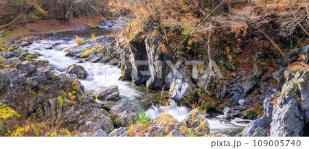 「岩手県」晩秋の久慈渓流　紅葉 109005740