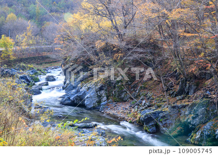 「岩手県」晩秋の久慈渓流　紅葉 109005745