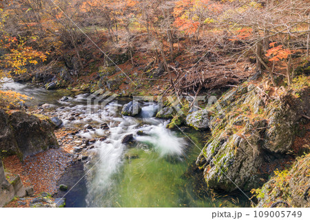 「岩手県」晩秋の久慈渓流 紅葉 「岩手県」晩秋の久慈渓流 紅葉 109005749