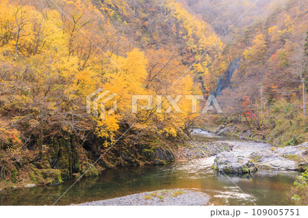 「岩手県」晩秋の久慈渓流　紅葉 109005751
