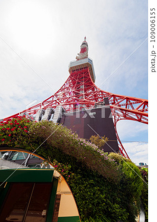 初夏の東京タワー 初夏の東京タワー 109006155